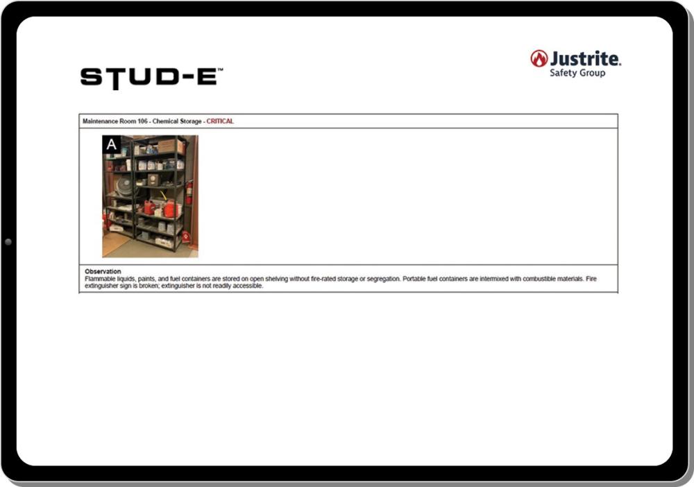 STUD-E report sample - expert observations page